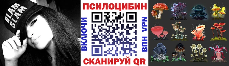 Псилоцибиновые грибы GOLDEN TEACHER  купить наркотик  Няндома 